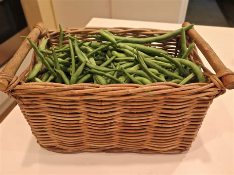 Freshly picked green beans from our garden in Napa. | Green beans ...