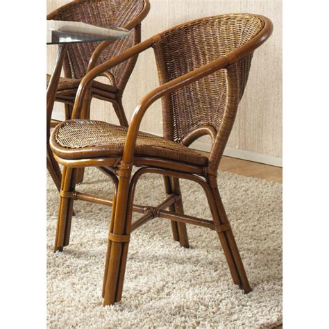 Wicker Armchair Indoor - Safavieh Boylin Set of 2 Indoor/Outdoor Wicker