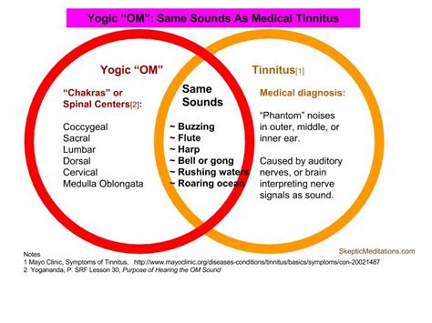 Om And Tinnitus Diagram Skeptic Meditations