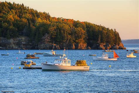 Bar Harbor Maine Lobster Boats In Autumn