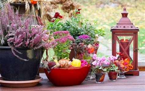 Arredare con i fiori freschi la casa è un modo per renderla allegra e colorata. Arredare la casa con i fiori d'inverno | Arredamente