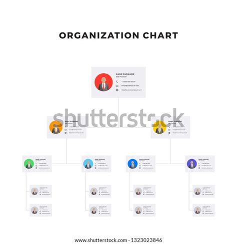 Organizational Structure Company Business Hierarchy Infographic Stock