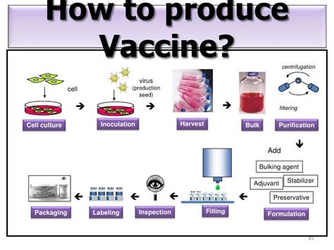 Vaccine production techniques