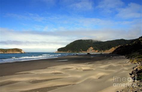 Coast Of Dreams 9 Photograph By Mel Steinhauer Fine Art America