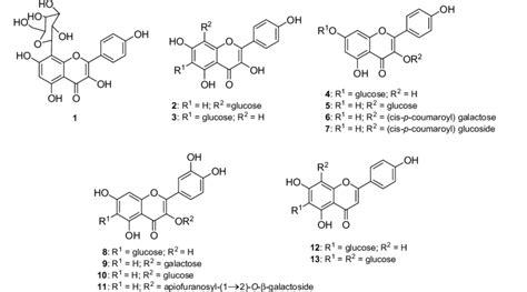 Grisea (4.62 ± 0.26 μg/ml). Chemical structures of the isolated compounds kaempferol ...