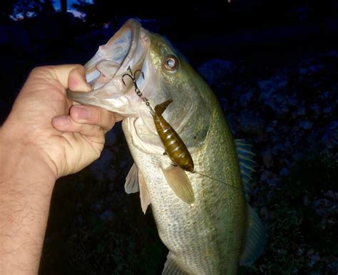 Night Fishing For Bass Tips And Tricks Rangetoreel
