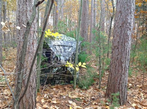Hunting Tip Brush Out Ground Blinds For Greater Concealment Video