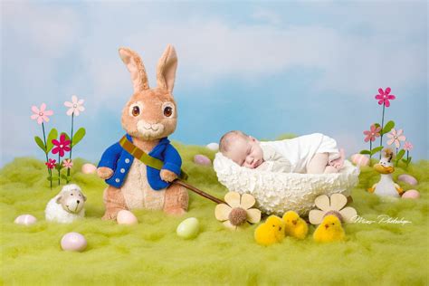 Psd And  Easter Digital Background Newborn Digital Backdrop Etsy España