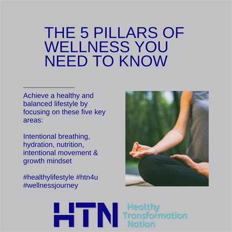 5 Pillars Of Wellness By Htn Healthy Transformation Nation