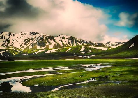 Iceland Boreal Birch Forests And Alpine Tundra One Earth