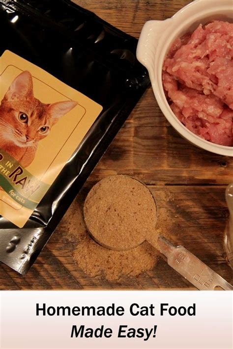 Better In The Raw Homemade Cat Food Raw Cat Food Recipes