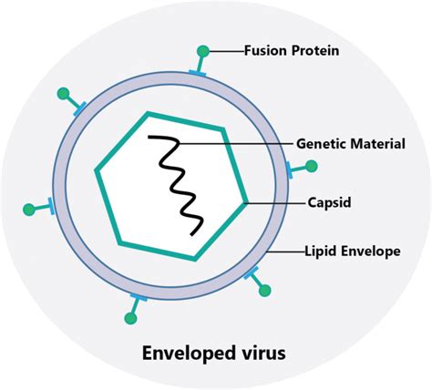 Resistance Of Microorganisms Against Disinfectants Tecolab