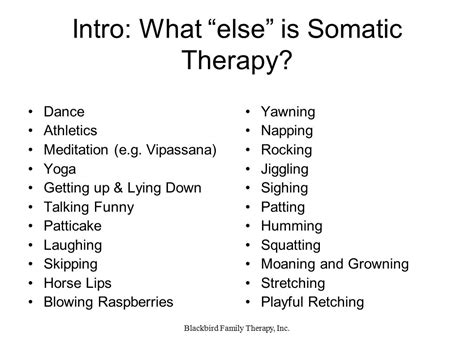 what is somatic bodywork and somatic psychotherapy ⋆ santa barbara deep tissue riktr pro