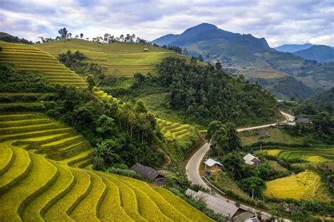 Mu Cang Chai Rice Terraces Fields Yen Bai Vietnam