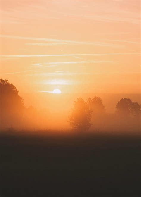 Dawn Fog Morning Trees Sun Hd Phone Wallpaper Peakpx