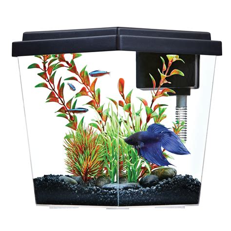 Buy Tetra Led Betta Tank Kit Gallon Trapezoid Aquarium With Base