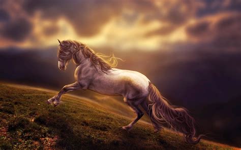 Amazing Horse Art Hd Artist 4k Wallpapers Images Backgrounds