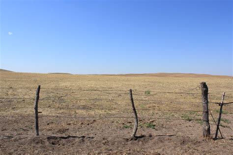 The Livestock Forage Disaster Program And Estimated Drought Losses In