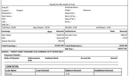 What Is Pay Slip Lenstax