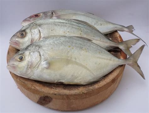 Makan Yuk 31 Jenis Ikan Yang Bagus Untuk Ibu Hamil Ibupedia