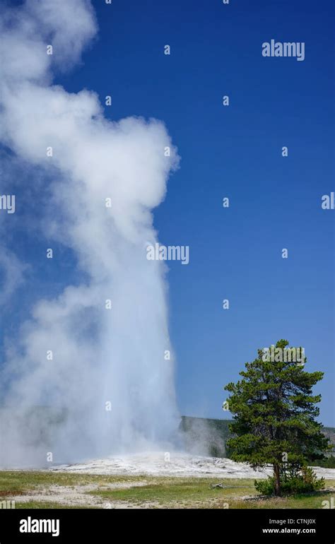 Old Faithful Cone Geyser In Upper Geyser Basin Yellowstone National