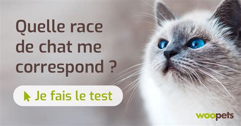 Quelle Race De Chat Me Correspond - Bien choisir la race de son chat - Notre test
