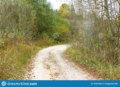 Overgrown Dirt Road Surrounded By Trees Colored Autumn Color Stock