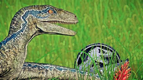 Jurassic World Evolution Blue The Velociraptor Hunting In Rainforest Environment Jurassic