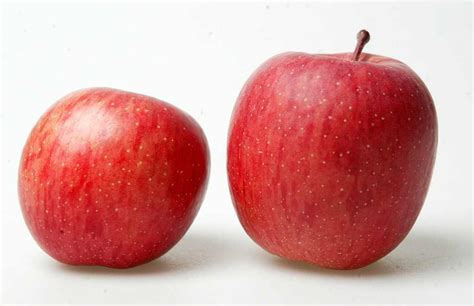 在2001年3月，蘋果推出了 macos （早期称作mac os x或os x），一個基於 openstep 和 bsd unix的作業系統，並同時以專業人士和消費者為目標市場。 富士蘋果(帶皮) | 蔬果類 | 卡路里 | 元氣網