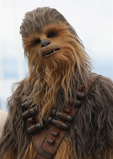 Chewbacca Photos Solo A Star Wars Story Photocall
