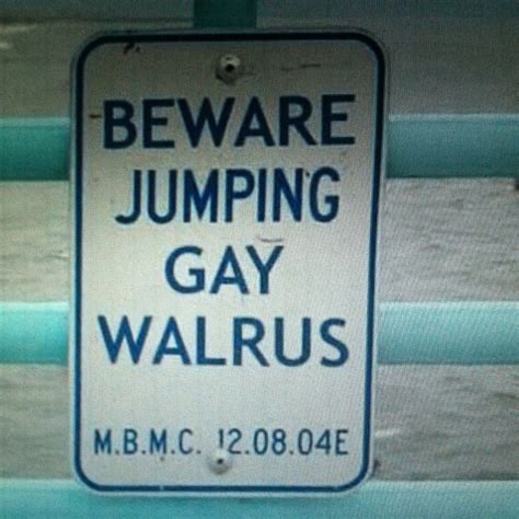 Haha Haha Quotes Walrus