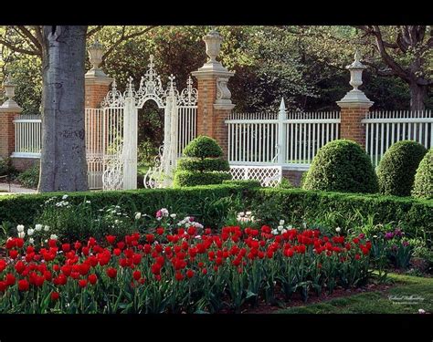 I Love Spring In Williamsburg Williamsburg Vacation Garden Tours