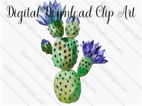 Prickly Pear Cactus Clipart Flowering Watercolor Cactus Set 014 Clipart