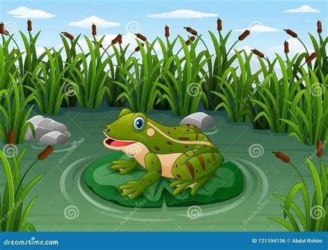 Cartoon Frog On A Leaf In The Pond Stock Vector Illustration Of Lily