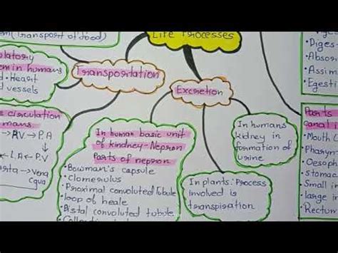 LIFE PROCESSES CLASS 10TH MIND MAP CLASS 10TH BIOLOGY CHAPTER 1 LIFE