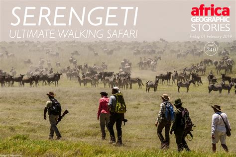 Serengeti Ultimate Walking Safari Africa Geographic