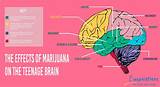Marijuana On The Teenage Brain Pictures