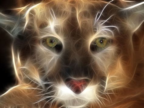 We did not find results for: Cool Backgrounds Of Animals - WallpaperSafari