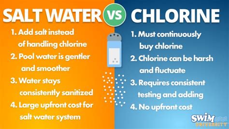 Salt Water Pool Vs Chlorine Pool Which One Is Better