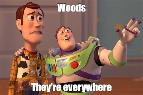 meme woods they re everywhere all templates meme