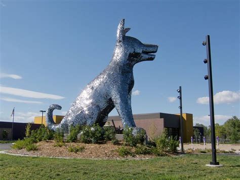 Sun Spot, Denver Animal Shelter | Denver animal shelter ...