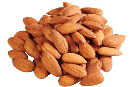 almond png 20 free Cliparts | Download images on Clipground 2024