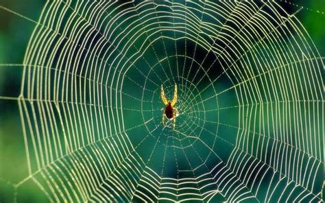 Secara umum pondasi dapat dibagi menjadi dua macam yaitu pondasi dalam dan pondasi dangkal. Media Pembelajaran Berbasis Internet-Media Online