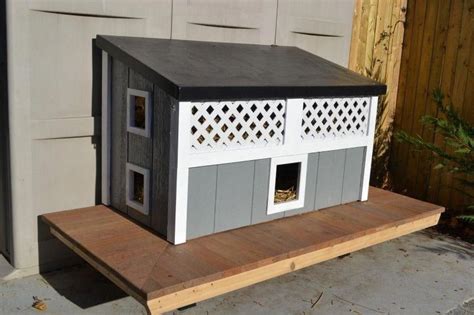 Cats That Don T Shed Feral Cat House Feral Cats Cat House