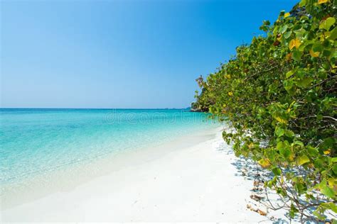Tropical Beach Paradise Full Of Crystal Clear Turquoise Water And White