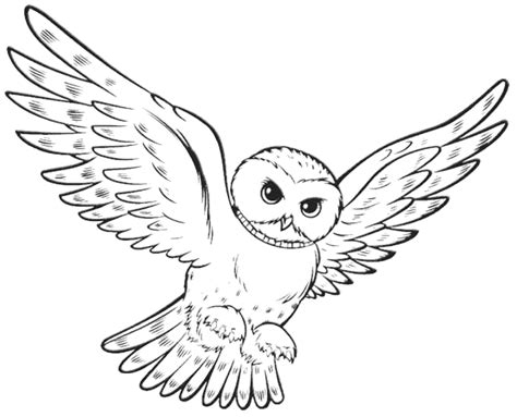 Flying Owl Coloring Pages Printable Kids Colouring Pages Coloring Home