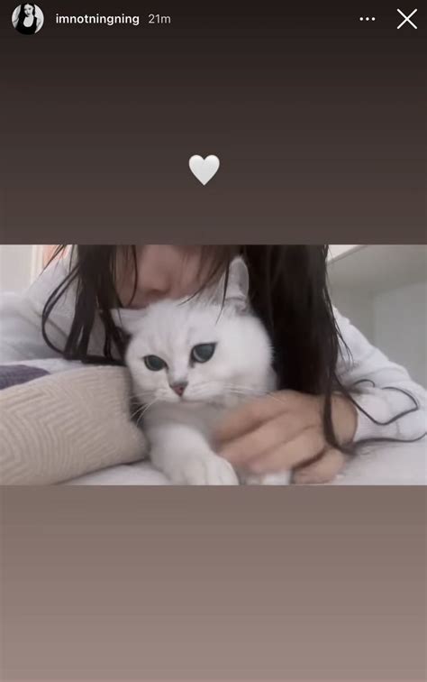 Ws 🌶️ On Twitter Wait Ningning Has A Cat 🥺🤍