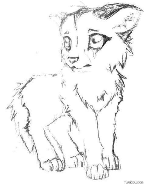 Anime Cute Wolf Drawings Coloring Page Turkau