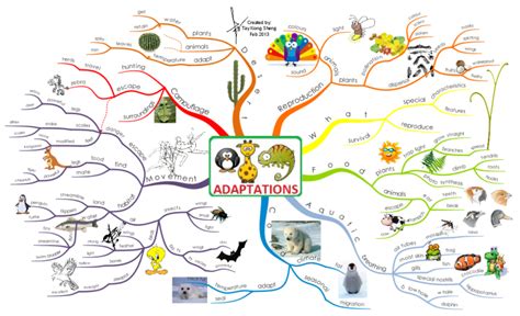 Adaptations Mind Map Adaptations Primary Science