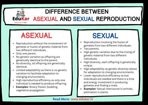 Difference Between Asexual And Sexual Reproduction Edukar India